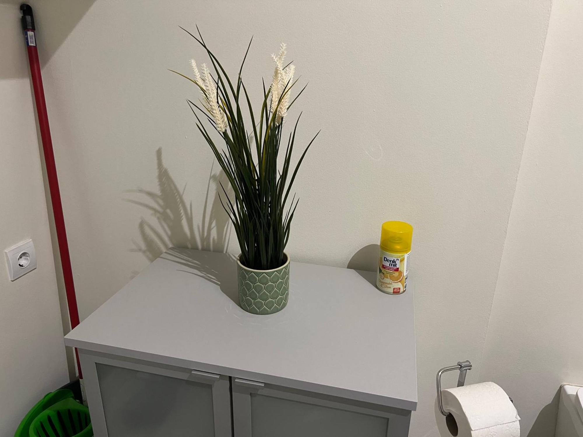 センテンドレBuekkoes Apartmanアパートメント エクステリア 写真
